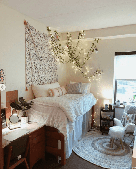 dorm room with vines hanging from ceiling