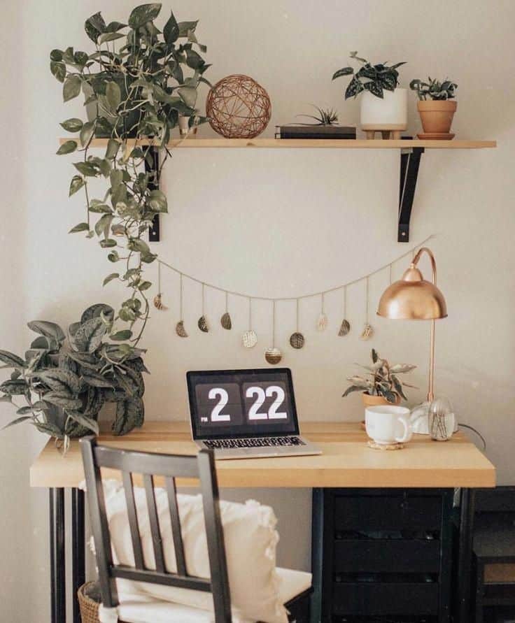 desk with plants