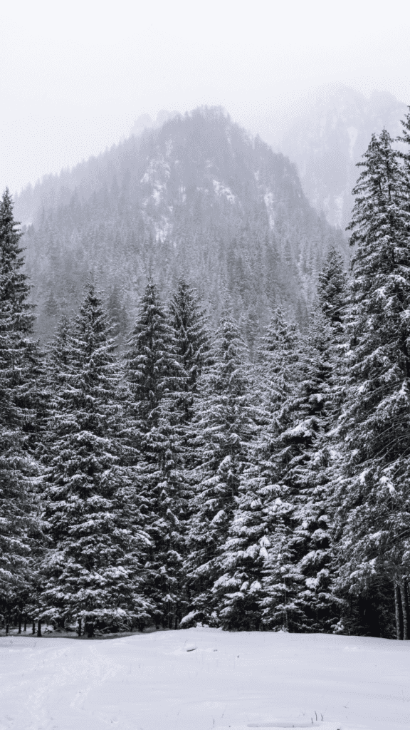 snowy trees and mountain iPhone wallpaper