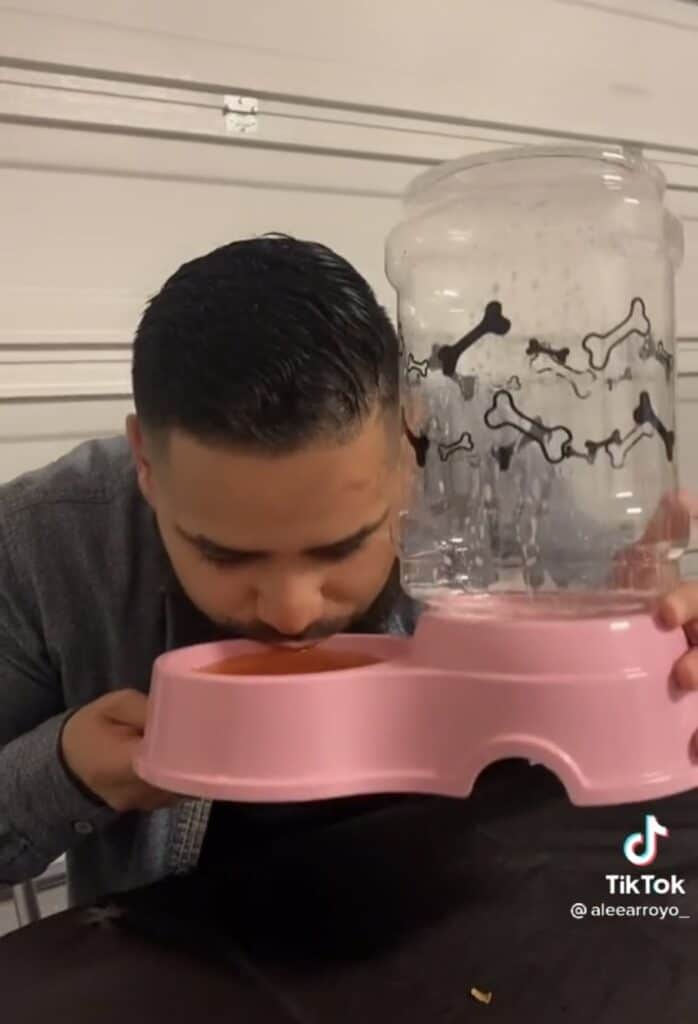 guy drinking from pink dog feeder
