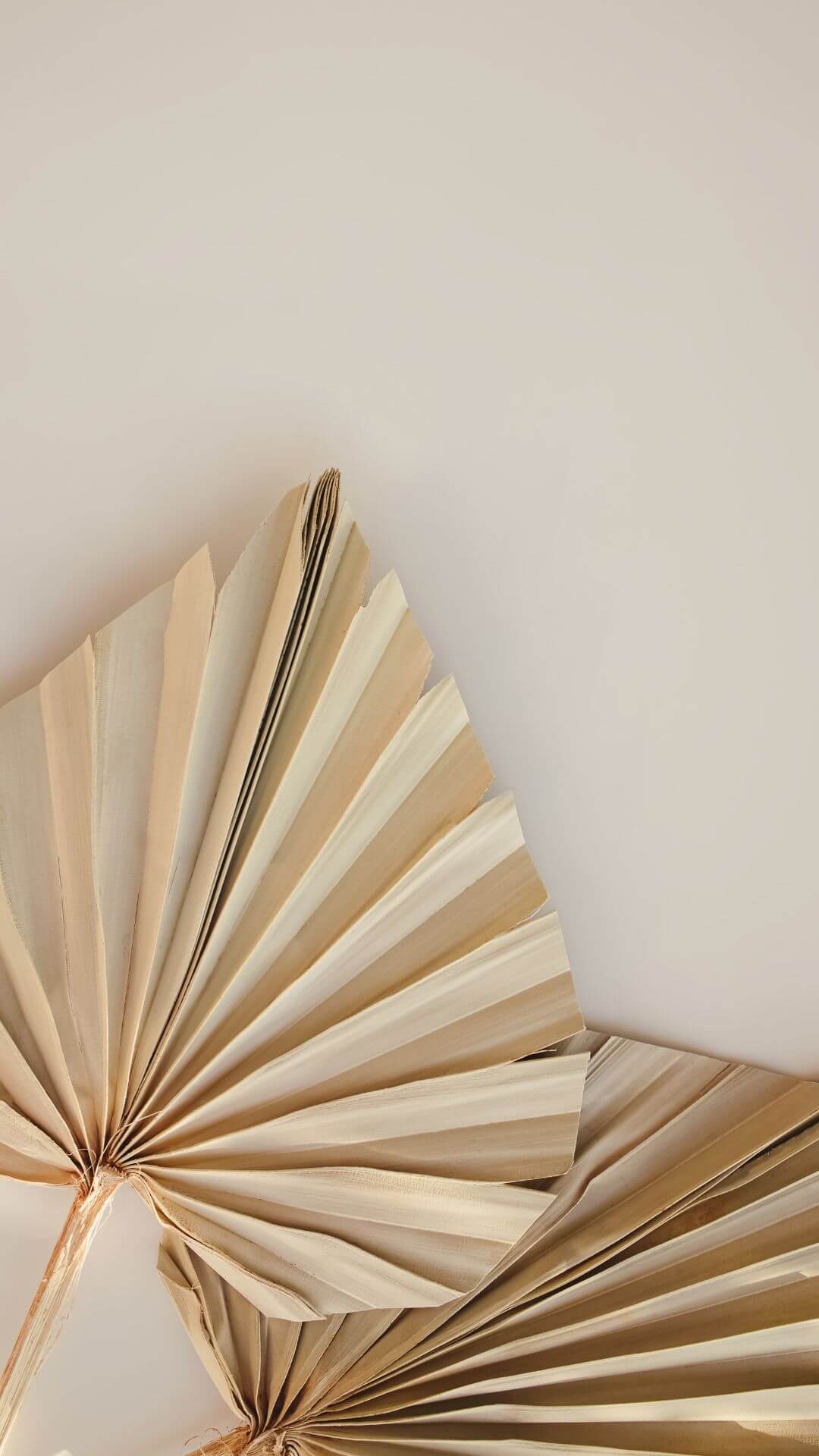 Minimalist Neutral Wallpaper For iPhone: 50 FREE Wallpapers