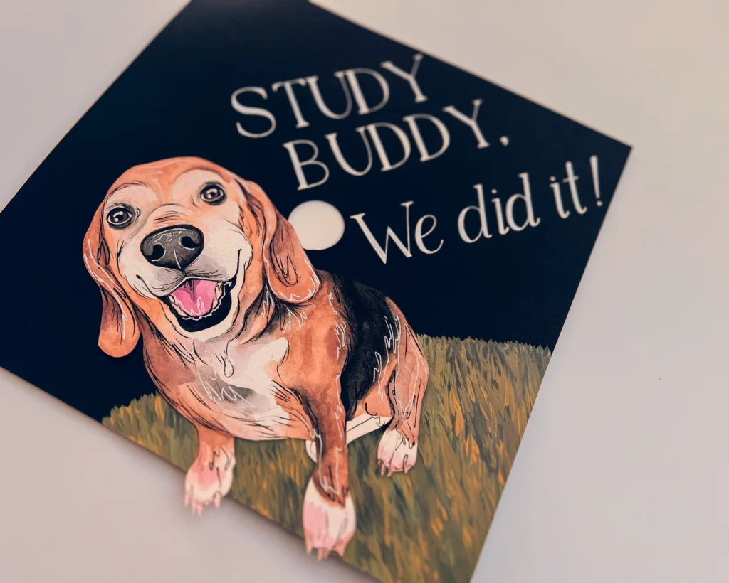 pet graduation cap