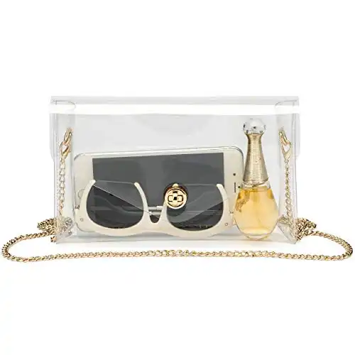 Clear Stadium Purse With Removable Gold Chain