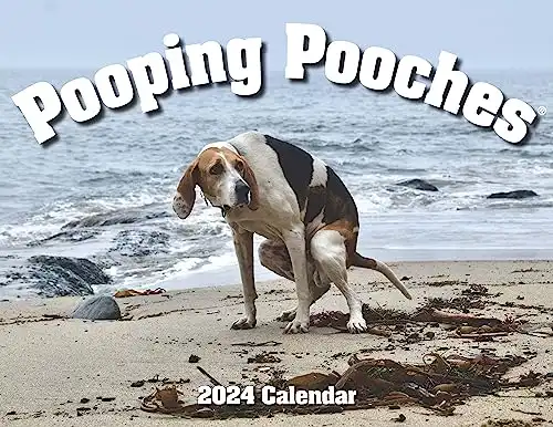 Pooping Pooches Gag Gift Calendar